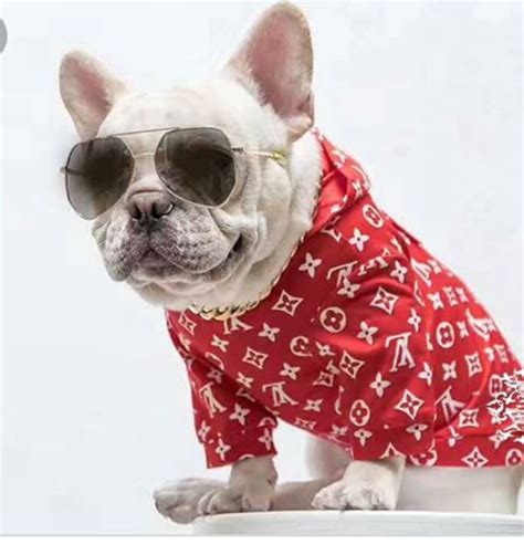 louis vuitton supreme dog clothes|Louis Vuitton dog collar large.